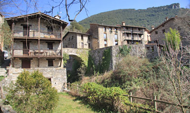 Beget